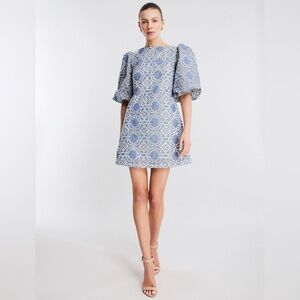 NWT | BCBGMAXAZRIA | Solomon Mini Dress